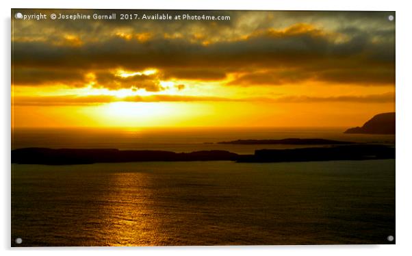 Gold Night Skies in Shetland Acrylic by Josephine Gornall