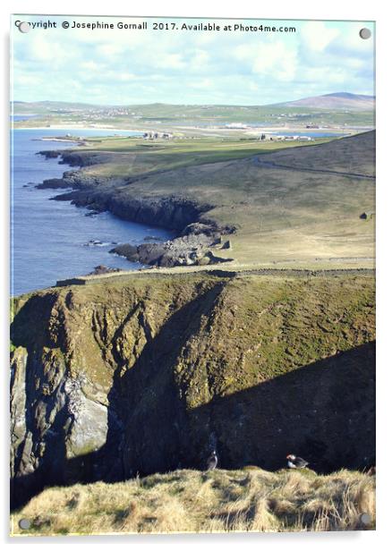 A Puffin's view of Shetland Acrylic by Josephine Gornall