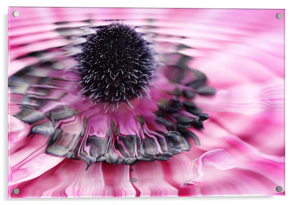 Water flower    2144_70767 Acrylic by julie williams