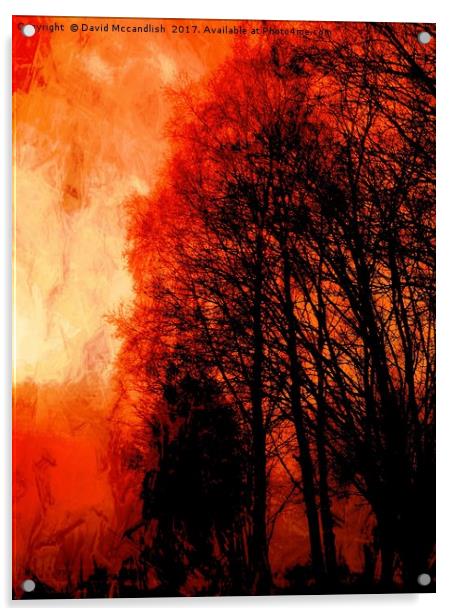 Red Forest Sunset Acrylic by David Mccandlish