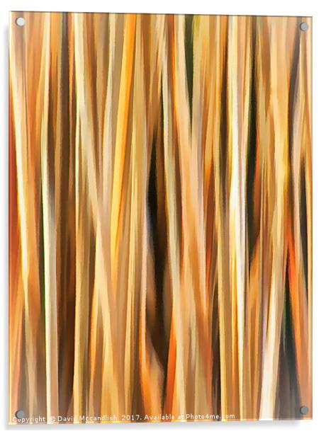 Flax Leaves                     Acrylic by David Mccandlish