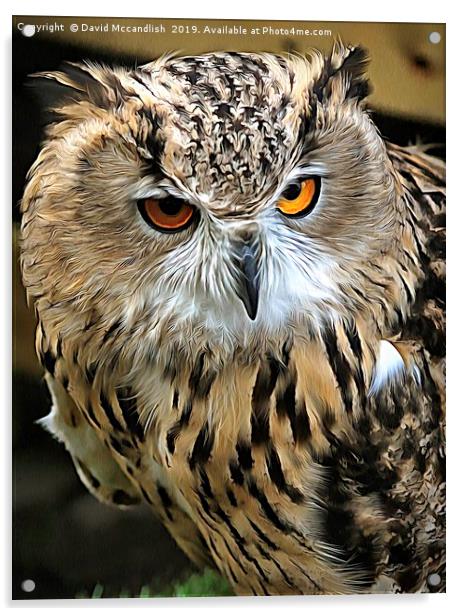 Eagle Owl European Acrylic by David Mccandlish