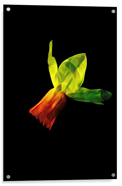 Lonely as a Daffodil                 Acrylic by David Mccandlish