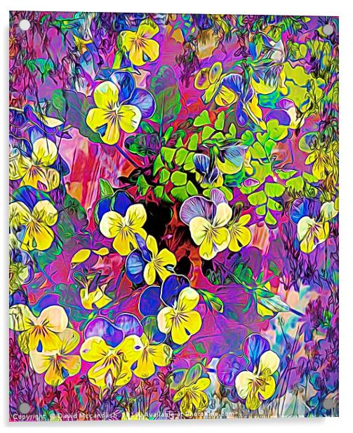 Violas Acrylic by David Mccandlish