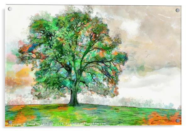The Mighty Oak Acrylic by David Mccandlish