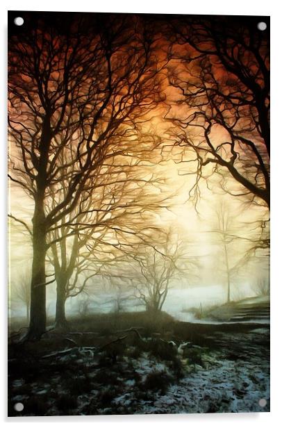 Woods in Winter Fog Acrylic by David Mccandlish