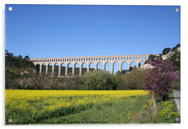 Aqueduct Roquefavour Provence Acrylic by Christiane Schulze