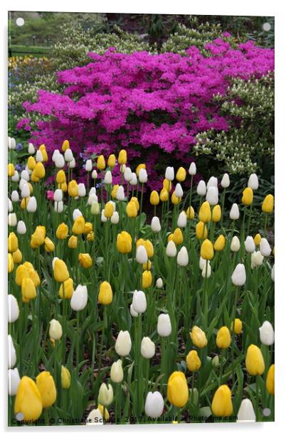 Coloursful Springtime Acrylic by Christiane Schulze