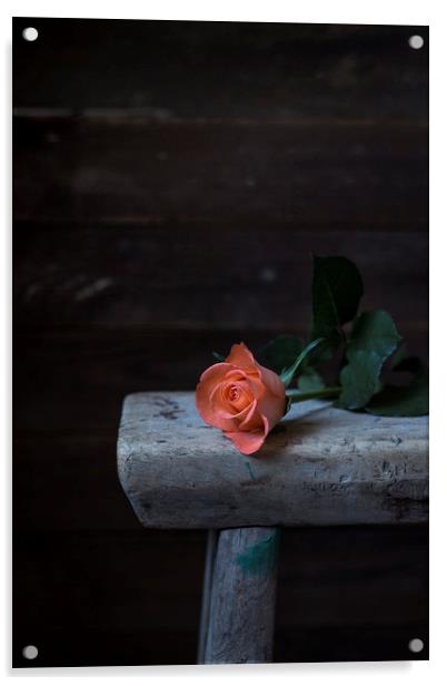 Single rose Acrylic by Denitsa Karan