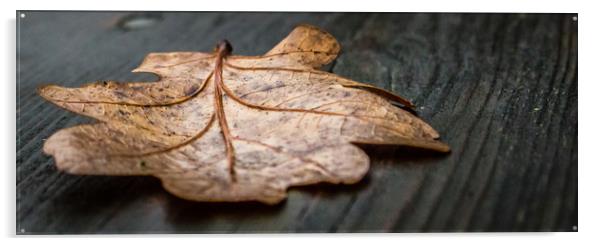 A Single Autumn Leaf That Had Fallen Onto a Wooden Acrylic by Andrew George
