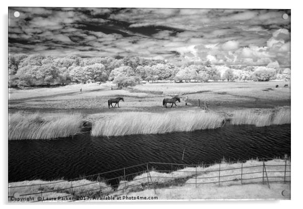 Horses at Ogmore Acrylic by Laura Parker