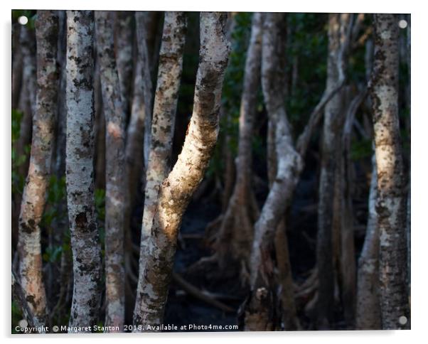 Magical Mangrove  Acrylic by Margaret Stanton