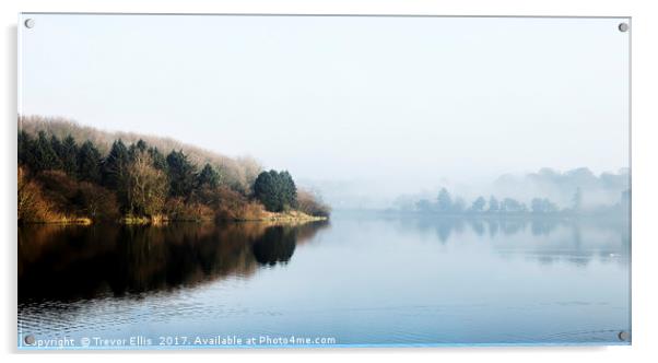 Mist over Thornton Reservoir Acrylic by Trevor Ellis