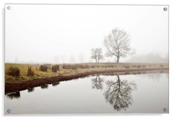 Fog's in Needingworth  Acrylic by Stephanie Veronique