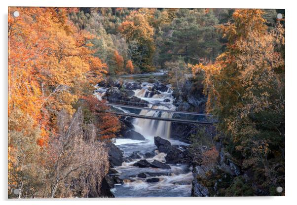 Rogie Falls in Autumn Acrylic by John Frid