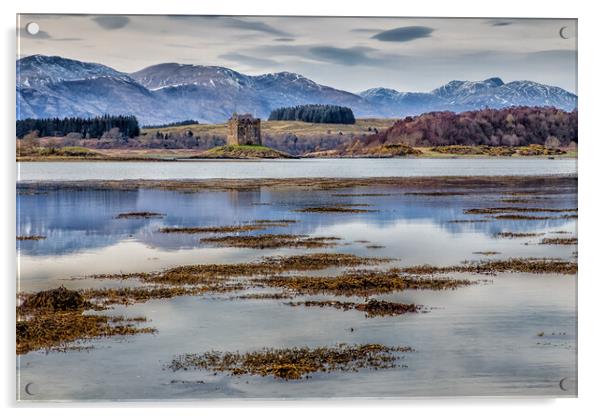 Castle Stalker on Loch Linnie Acrylic by John Frid