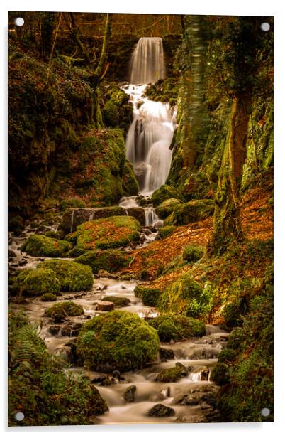 Clampitt Falls at Canonteign Devon Acrylic by John Frid
