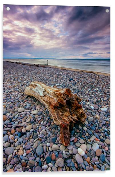 Findhorn Beach Driftwood Acrylic by John Frid