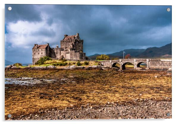 Eilean Donan Castle Acrylic by John Frid