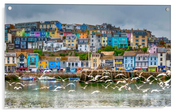 Majestic Seagulls Grace Brixham Harbour Acrylic by Paul F Prestidge