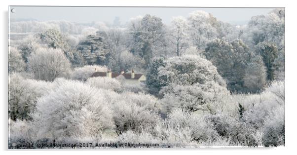      Hoar Frost at Churston Ferrers, Near Brixham  Acrylic by Paul F Prestidge