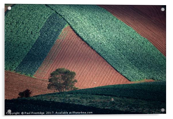 Field Pattern Landscape, Devon Acrylic by Paul F Prestidge