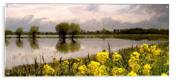 Flood in Somerset Levels Acrylic by Paul F Prestidge