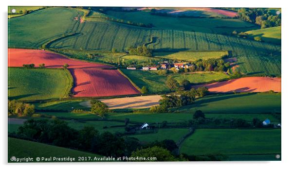 The Exe Valley Near Bickleigh Acrylic by Paul F Prestidge