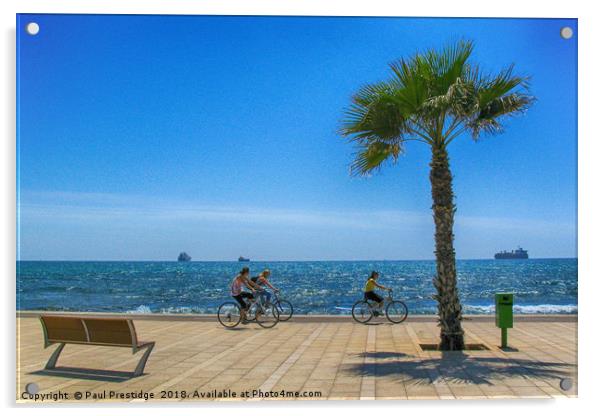 Cycle Track Near Palma Mallorca Acrylic by Paul F Prestidge