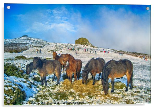 Dartmoor Ponies at Haytor Acrylic by Paul F Prestidge