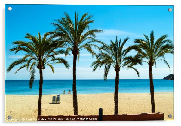Palms at Magaluf,  Mallorca Acrylic by Paul F Prestidge