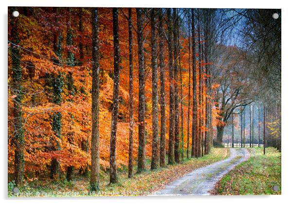  A Devon Lane in Autumn Acrylic by Paul F Prestidge
