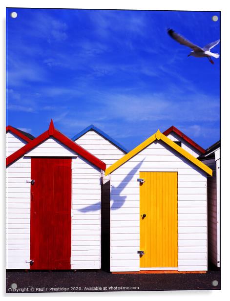 Beach Huts at Paignton Acrylic by Paul F Prestidge