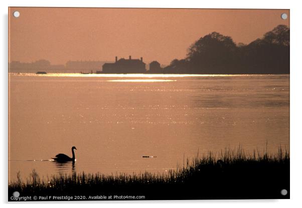 The Teign Estuary at Daybreak  Acrylic by Paul F Prestidge