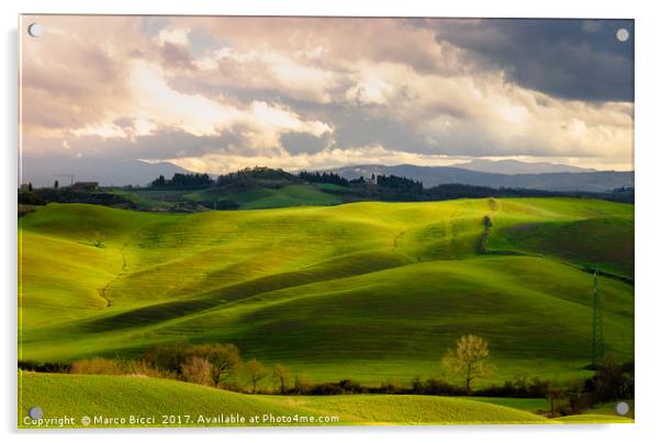 Tuscany countryside Acrylic by Marco Bicci