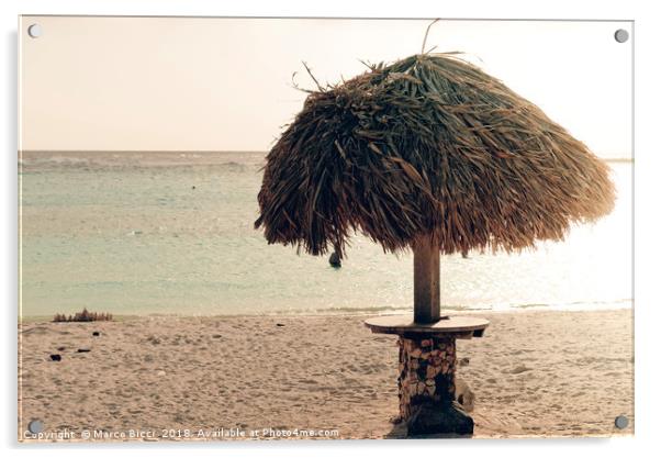 A parasol in the idyllic Baby Beach, Aruba Acrylic by Marco Bicci