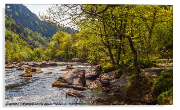 Glaslyn River, North Wales, United Kingdom, UK Acrylic by Michaela Gainey