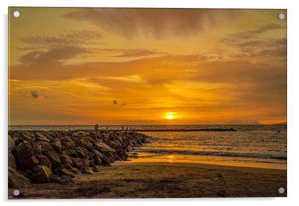 Golden Sunset Acrylic by Alan Jackson