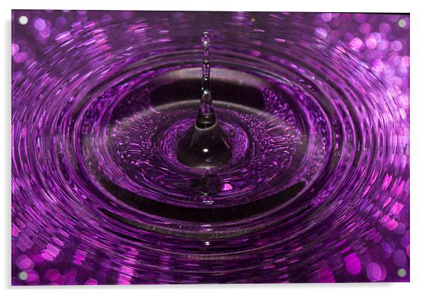 Splash of Purple Acrylic by Jennifer Higgs