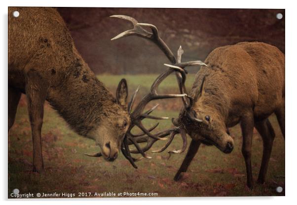 A Midwinter Tussle Acrylic by Jennifer Higgs