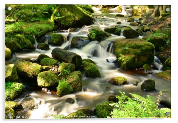 Wyming Brook in Sheffield (UK) Acrylic by Alex Waterton