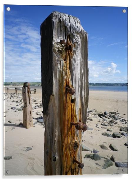 Old Weathered Posts, Crow Point, Braunton Burrows, Acrylic by Richard Brookes