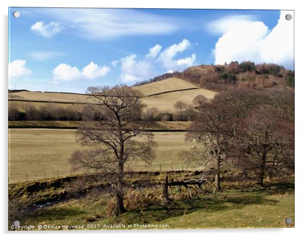 Shire Hill in Winter Acrylic by Denise Heywood