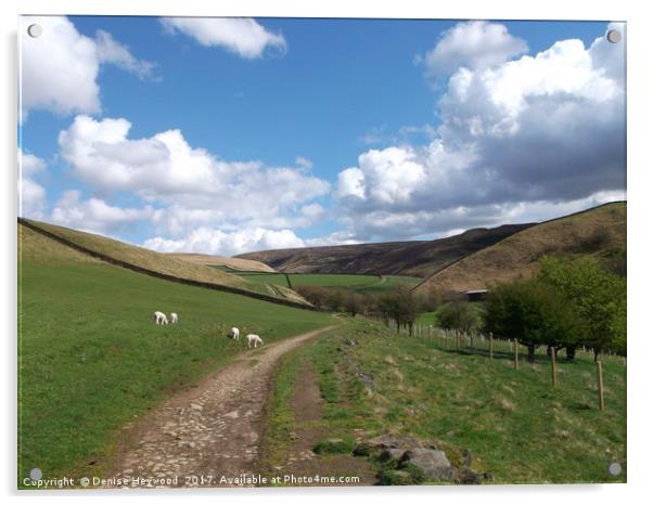 Lambs at Mossy Lea Acrylic by Denise Heywood