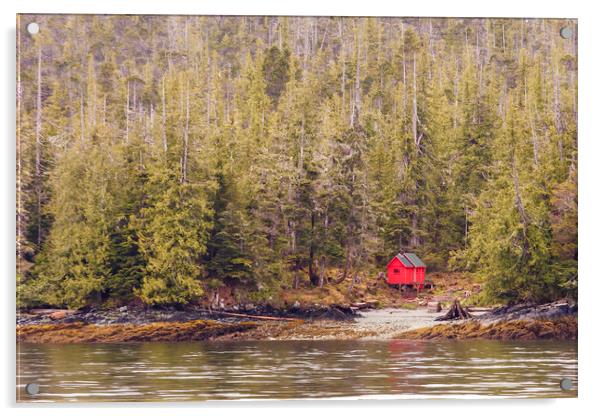 Red Cabin on Edge of Alaskan Waterway in Evergreen Acrylic by Darryl Brooks