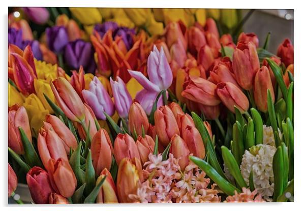 Many Colorful Tulips Acrylic by Darryl Brooks