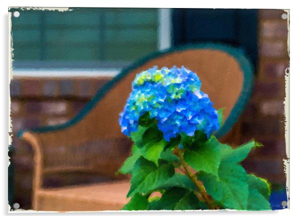 Blue Hydrangea on Porch Acrylic by Darryl Brooks
