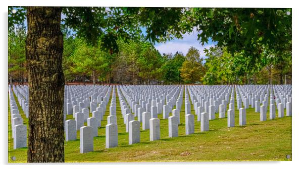 Rows of Markers at Veterans Cemetery Beyond Tree Acrylic by Darryl Brooks