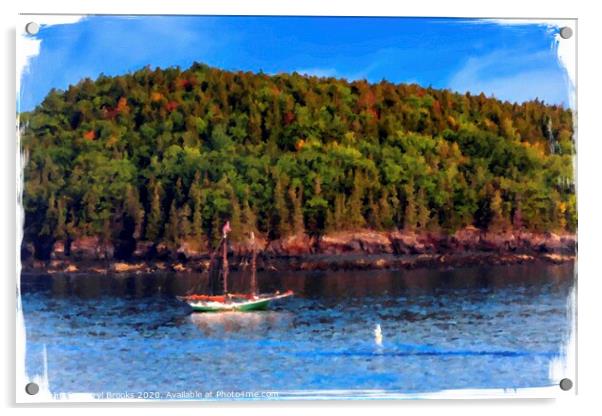 Schooner Past Maine Island Acrylic by Darryl Brooks