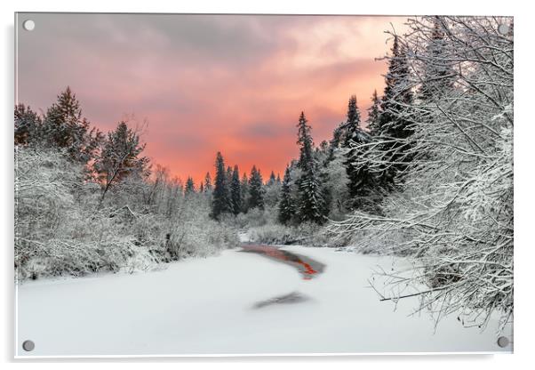 Evening sky over a frozen forest river Acrylic by Dobrydnev Sergei